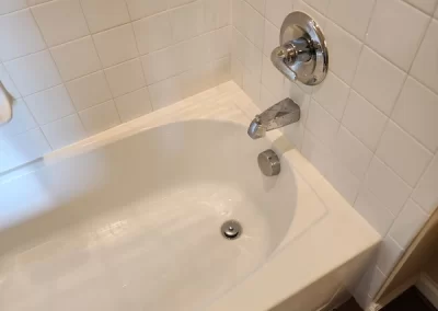 Professional House Cleaning