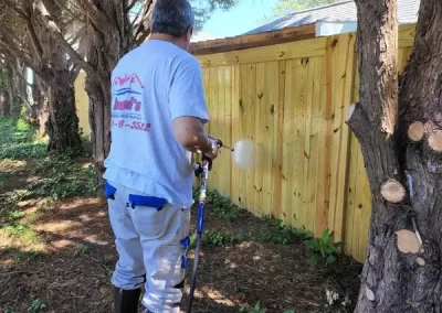 Professional House Cleaning