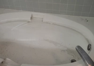 Professional House Cleaning